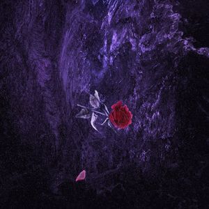 free性欧美婬妇xXXX3D
