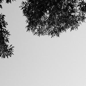 free性欧美婬妇xXXX3D
